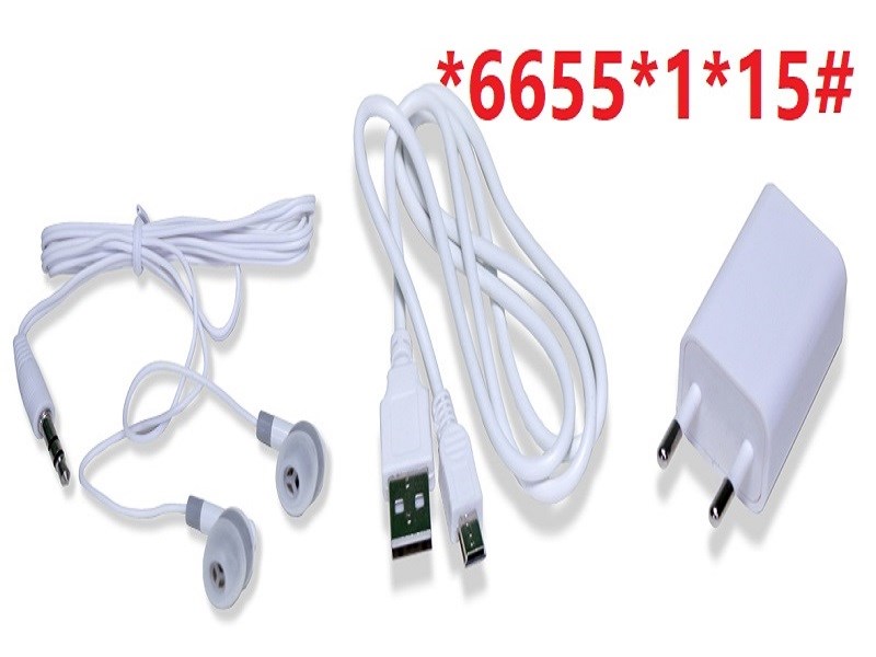 قلم قرآنی بصیر 64 گیگ (درشت خط) قرآن 1208 صفحه و کلیات مفاتیح
