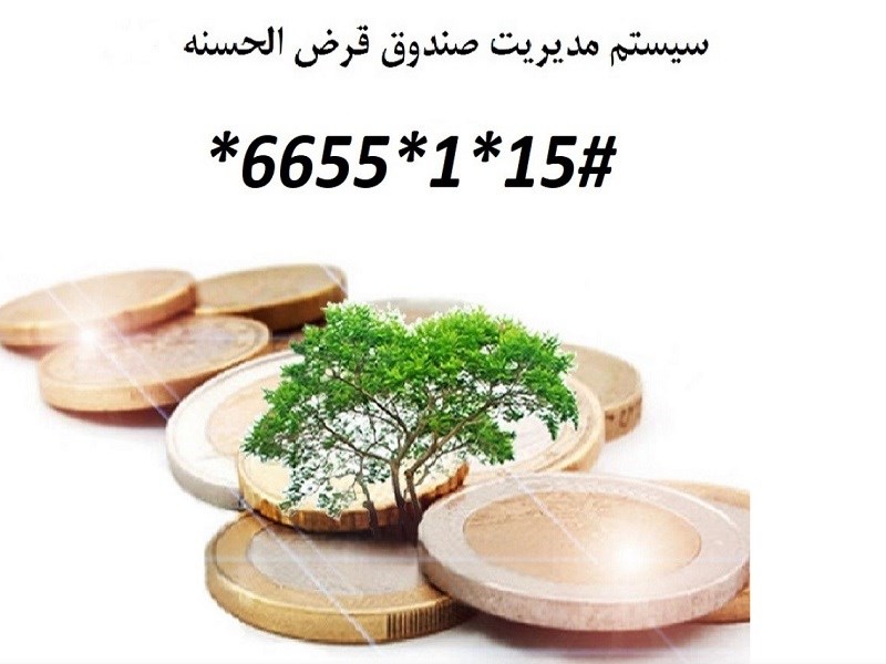 انواع نرم افزار صندوق قرض الحسنه خانوادگی چند نفره تا چند ده هزار نفره..