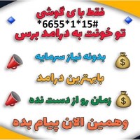 کسب و  درآمد در منزل شغل پاره وقت (دانشجویان ،خانم های خانه دار، و افراد با مشاغل مختلف)